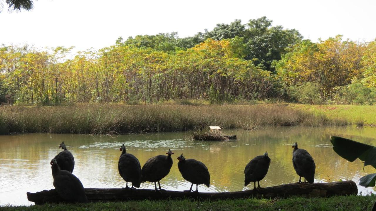 Guinea Feather Country Lodge & Spa Гроблерсдал Экстерьер фото